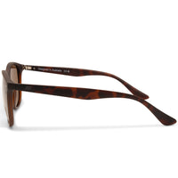 Dirty Dog Racoon Satin Satin Brown/Brown Unisex Polarised Sunglasses 53607