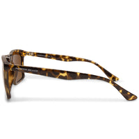 North Beach Sterlet Shiny Tortoise/Brown Polarised Unisex Sunglasses 70734