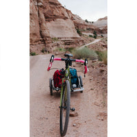 Burley 2-Wheel Flatbed Bike Cargo Trailer 45kg Capacity